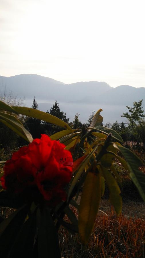Hotel Neora Valley Retreat Rishop Zewnętrze zdjęcie