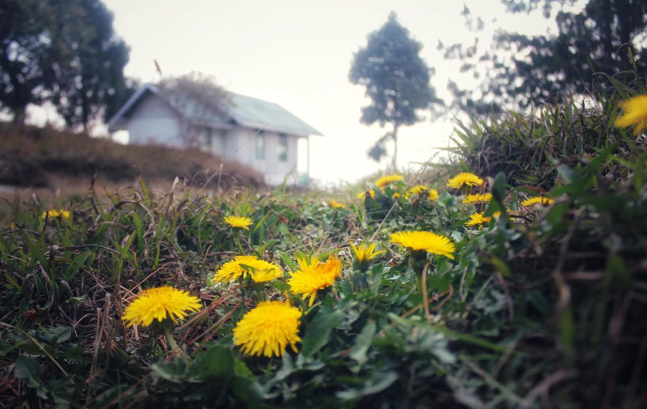 Hotel Neora Valley Retreat Rishop Zewnętrze zdjęcie